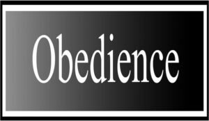 The Concept Behind Obedience. Why Do You Obey?